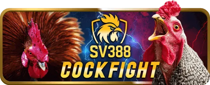 Cá cược thể thao 79king3